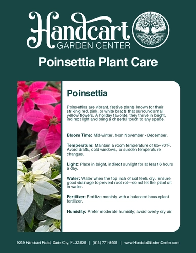 HandcartGardenCenter-Poinsettia-Plant-Care.pdf